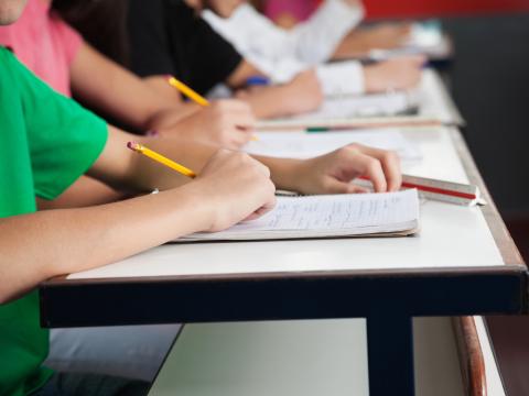 Education, Skills and Educational Transitions / Onderwijs, vaardigheden en onderwijstransities Education, Skills and Educational Transitions