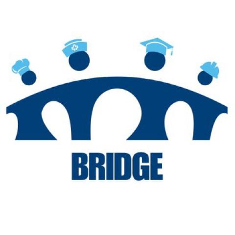 Bridge logo