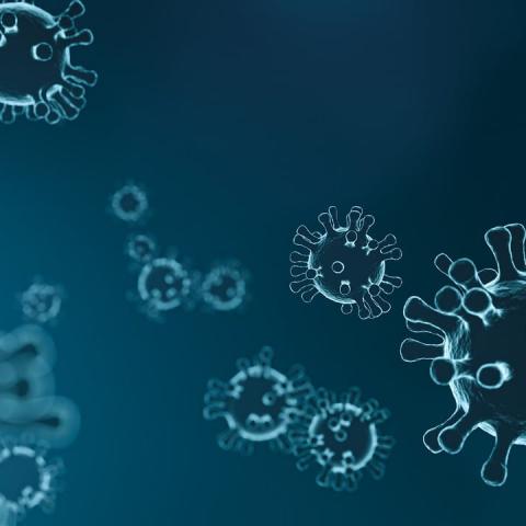 virus parts virus parts